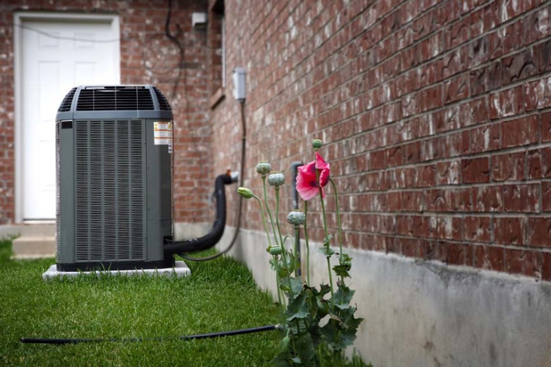 Outdoor AC unit next to a brick building and a pink flower.