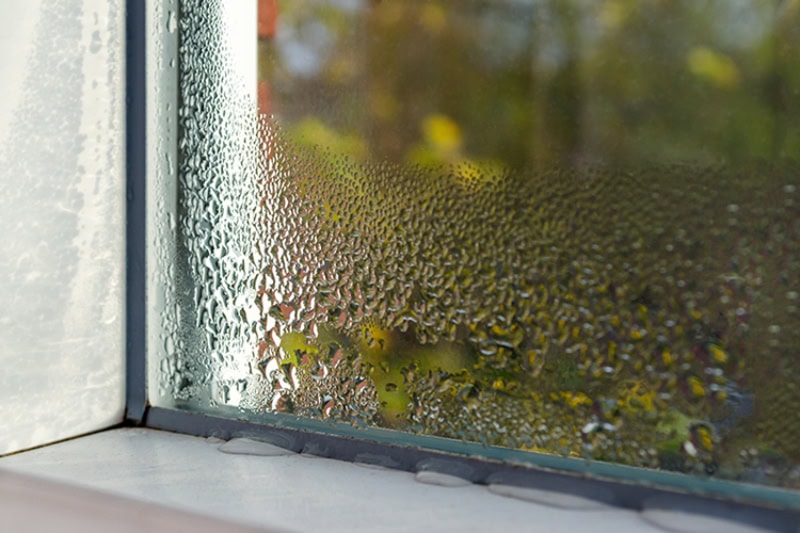 Don't Let Your Home Sweat It Out: A Texas Guide to Humidity Control. A window with condensation.